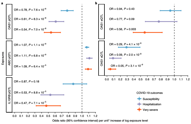 Neanderthal gene protecting against severe COVID-19 could be potential new drug target