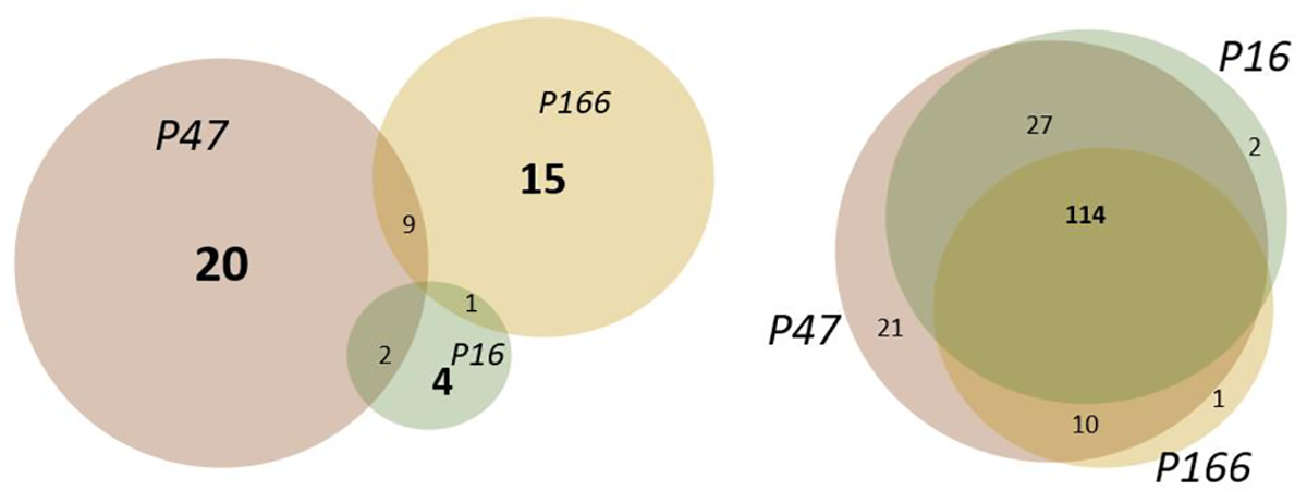 Study provides important insights for future predictions of SARS CoV-2 infection